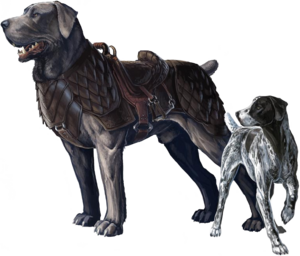 Dog B1.png