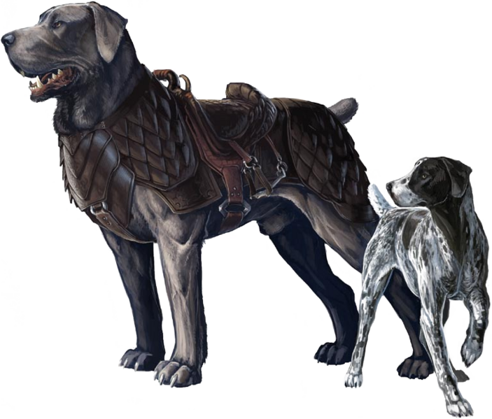 File:Dog B1.png