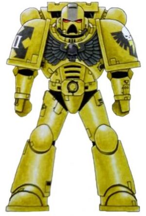 Doom Warriors Colour Scheme.jpg