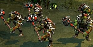 Dow2 nobz.jpg