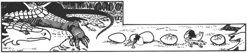 File:Dragon hatching MM 1e.jpg