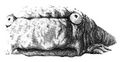 Thumbnail for version as of 20:18, 21 January 2025
