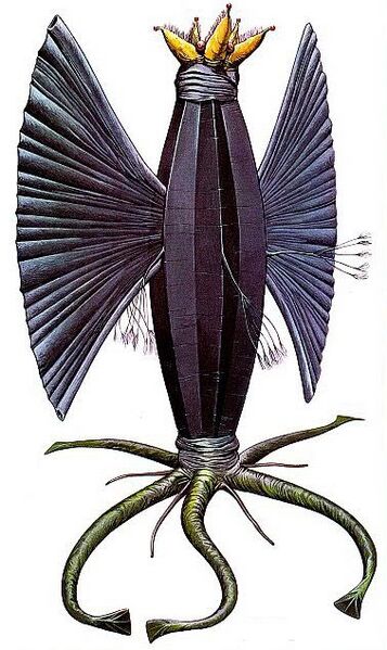 File:Elder thing wayne barlowe.jpg