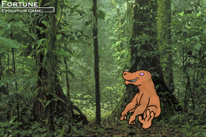 EquatorialJungles 00.png