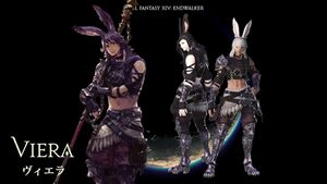 Final-Fantasy-XIV-Male-Viera.jpg