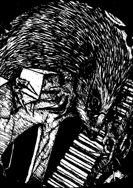 File:Fir Shadow Rift.png