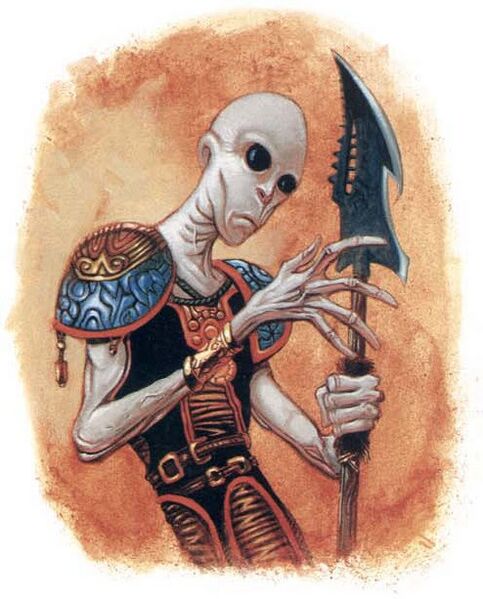 File:Fraal MCAV4.jpg