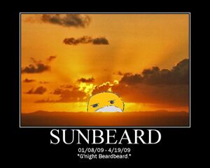 G'night sunbeard.jpg