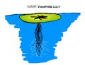 Thumbnail for version as of 17:04, 21 January 2025