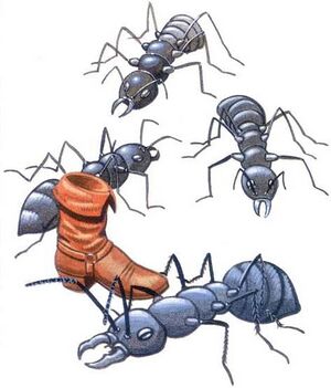 Giant ant First Quest.jpg