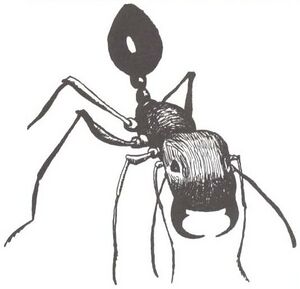 Giant ant MCV2.jpg