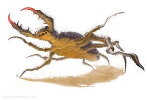 Giant antlion PF.jpg