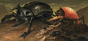 Giant beetle 4e.jpg