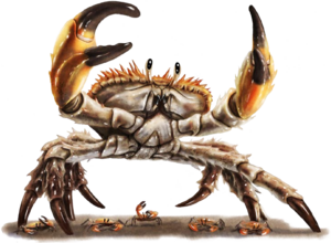 Giant crab B1.png