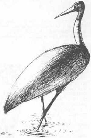 Giant crane MM2 1e.jpg
