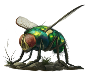 Giant fly PF 2e.png