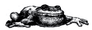 Giant frog 1e.png