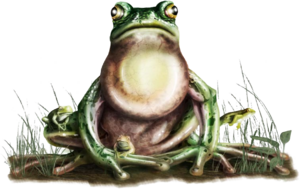 Giant frog B1.png