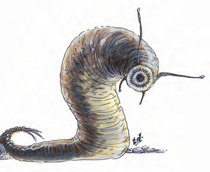 Giant leech MM 2e.png