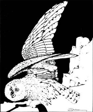 Giant owl DMG 1e.jpg