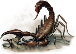 Giant scorpion B1.png