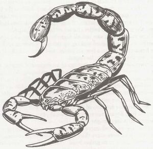 Giant scorpion MCV1.jpg