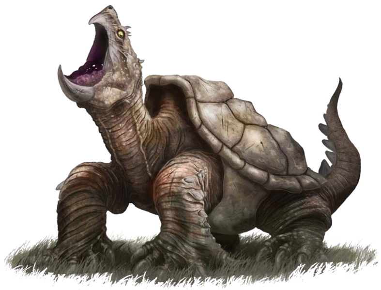 File:Giant snapping turtle B2 PF.png
