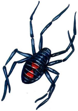 Giant spider First Quest.jpg