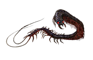 Giant whiptail centipede B2 PF.png