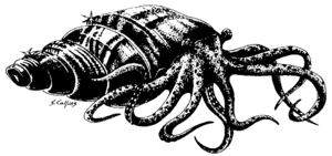 Golden ammonite Dragon 48.png