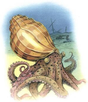 Golden ammonite MCAV4.jpg