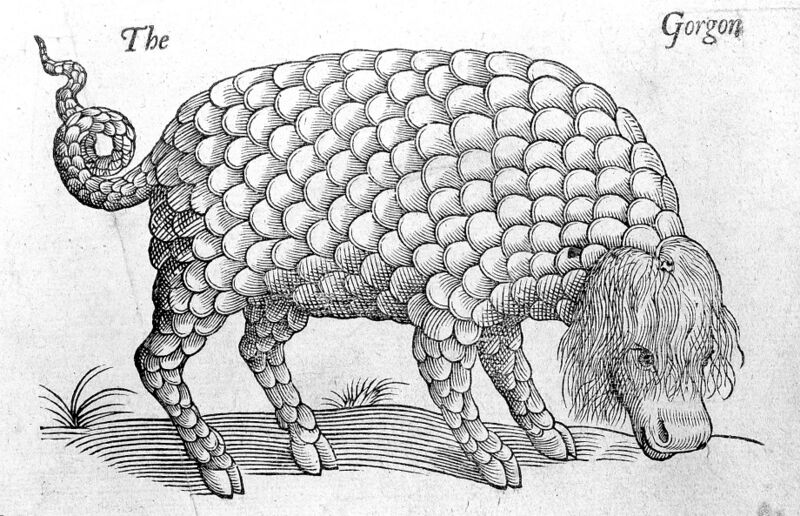 File:Gorgon topsell.jpg