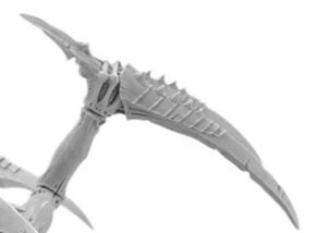 Grasping Talons.JPG