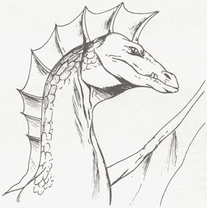Green dragon MCV1.jpg