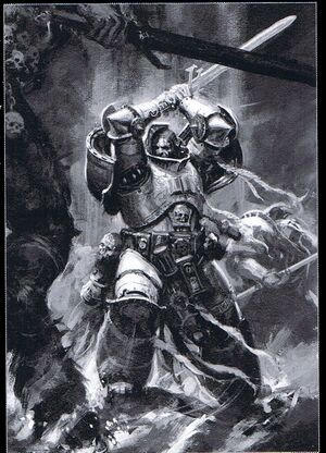 Grey Knight1.jpg