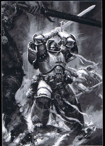 File:Grey Knight1.jpg