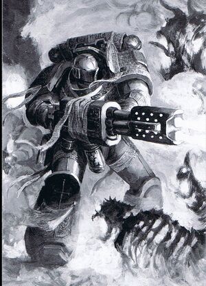 Grey Knight3.jpg