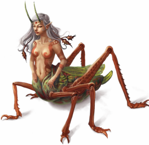 Grig B2 PF.png