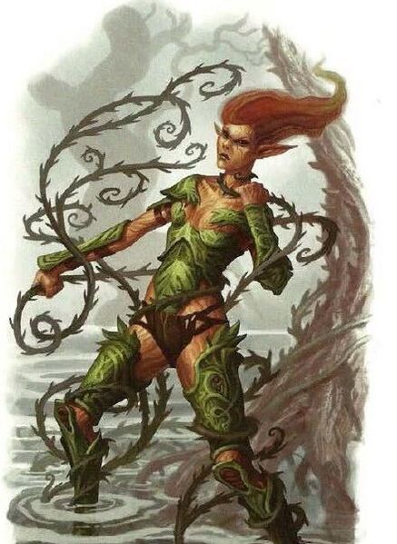 File:Hamadryad 4e.jpg