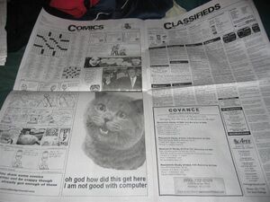 Happycat.jpg