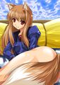 Thumbnail for version as of 20:19, 21 January 2025