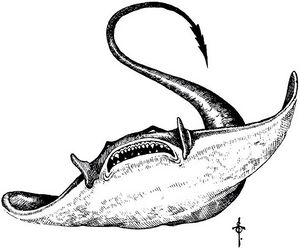 Ixzan Night Below 1.jpg