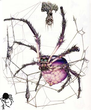 Leng Spider (FGtCotDl).jpg