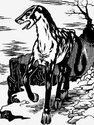 Leucrotta 1e.jpg