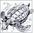 Thumbnail for version as of 20:21, 21 January 2025