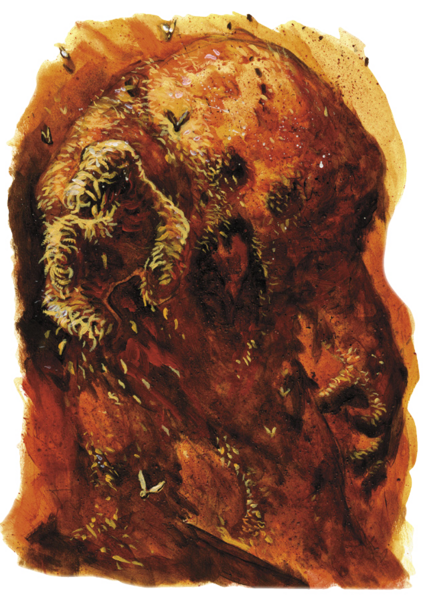 File:Maggot golem Dragon 339.png