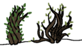 Thumbnail for version as of 20:23, 21 January 2025