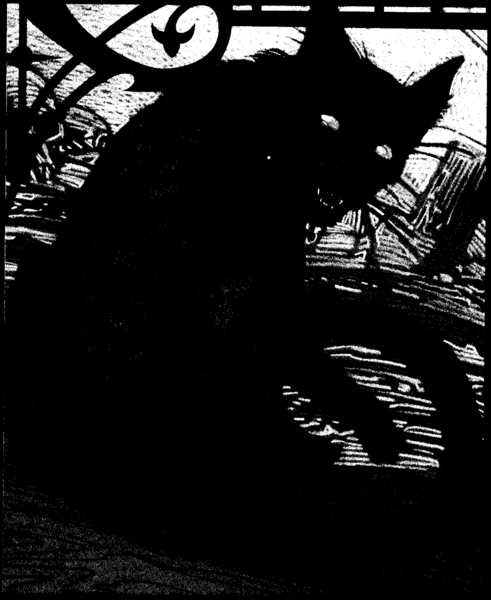 File:Midnight cat MC Ravenloft3.png