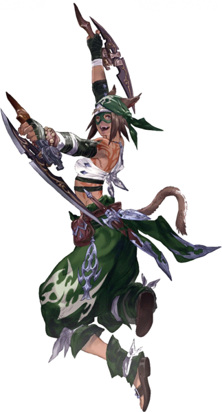 File:Miqo'te Rogue.webp