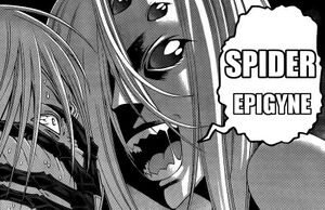 Mon Meme Arachne.jpg